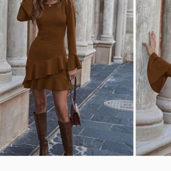 Beautful Brown Dress - Picture 4 of 4